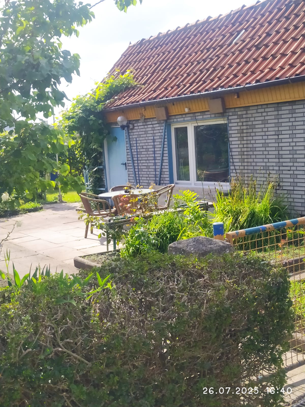 Garten67